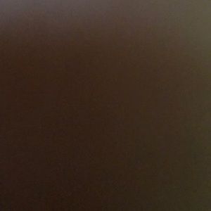 Meet your Posher, Abigail